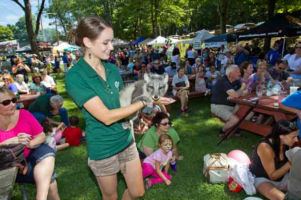 Wallaby Tales